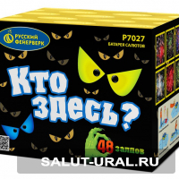 Батарея салюта Кто здесь? (48 залпов) - Интернет-магазин пиротехники: салюты, фейерверки